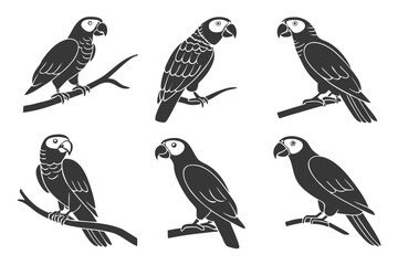 Minimalist african grey parrot icon set