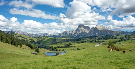 Fototapeten Alpen Hiking trail at Alpe di Siusi in Italian Dolomites, South Tyrol.  © borisbelenky