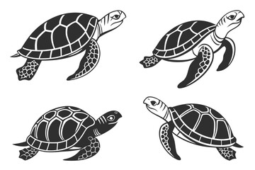 Minimalist box turtle icon set with black and yellow accents