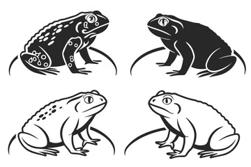 Minimalist cane toad icons set black and yellow design elements