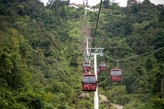 View of vibrant red gondolas ascend through a lush, green mountain landscape, contrasting with the dense foliage, Genting Highlands, Pahang, Malaysia.