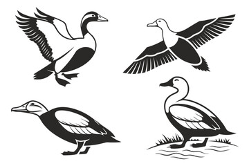 Eight minimalist common eider bird icons set