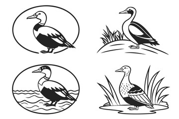 Eight minimalist common eider bird icons in black and yellow