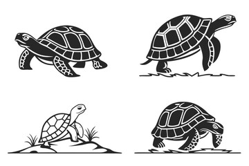 Minimalist desert tortoise icon set