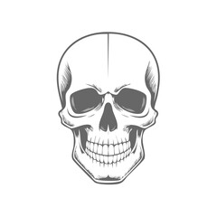 Fototapeta premium Vintage Engraved Style Human Skull Head Illustration Facing Forward Graphic Element