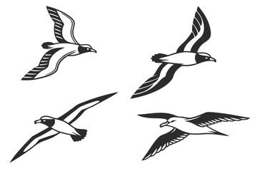 Minimalist diving petrel icon set with nautical and wildlife themes