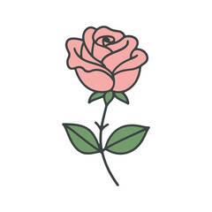 Illustration of a light pink rose with green leaves and a dark outline on a white background artfully drawn