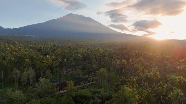 Stunning aerial drone view video shot of a lush mount Agung, Bali, landscape with a sprawling palm jungle and a magnificent volcanic peak. Beautiful golden hour light.