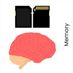 Memory card placed next to a brain, symbolizing two types of information storage, flat art design style.
