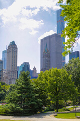 Fototapeta premium Central Park, New York