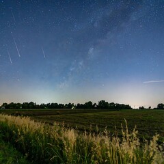 Starry night over a field (1)