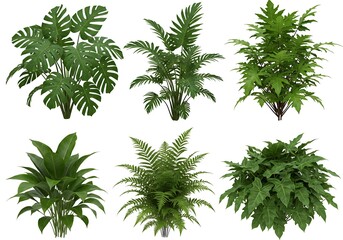 Emerald Enclaves: Digital Flora