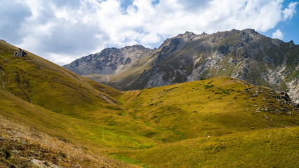 summer in the mountains. a beautiful mountain gorge