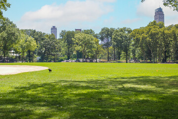 Heckscher Ballfields Field, Central Park, New York city, USA