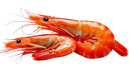 Raw seafood duo shrimp and prawns assorted, isolated on transparent background