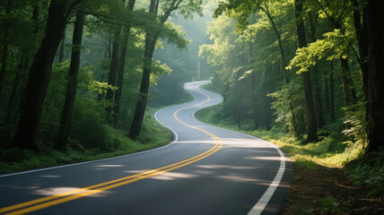 Summer forest highway self-driving tour green nature travel background