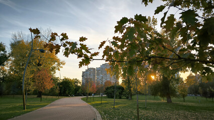 autumn in the Novi Sad