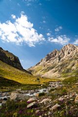 Fototapeta premium summer in the mountains. a beautiful mountain gorge