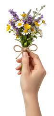 a hand holds a small bouquet of wildflowers