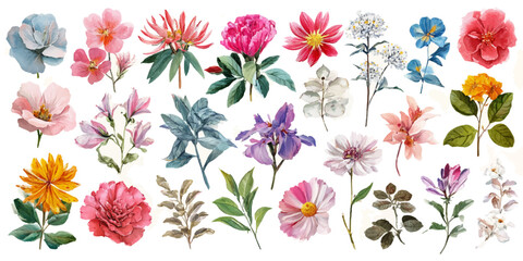 Vintage Watercolor Flower Set | Retro Botanical Clipart