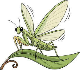 Cartoon Praying Mantis with Open Wings on Leaf – Detailed Green Insect Vector Illustration for Nature and Educational Projects