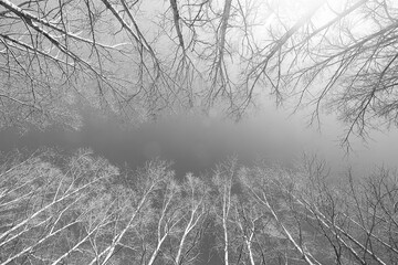 autumn park, nature landscape, trees in a seasonal background
