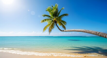 Relaxing tropical beach with palm tree, turquoise water, and bright sunshine on a perfect day