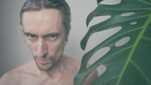 Cynical, Cunning, Amusing Large-Headed Guy with Monstera Plant in Close-Up, Intense Gaze and Serious Expression