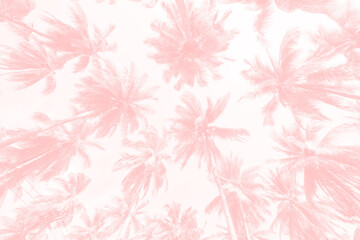 Palm trees, summer tropical background with light tinting, gentle soft color blur