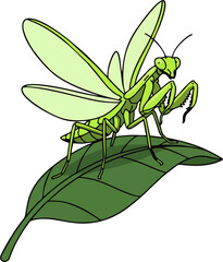 Cartoon Green Praying Mantis with Wings on Leaf – Vector Insect Illustration for Nature