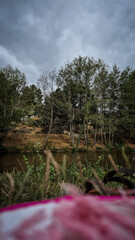 Natural river landscape at Praia Fluvial Rebelos, Murça, Trás-os-Montes, Portugal. A tributary of the Tua flows calmly past green banks and tall trees, ideal for outdoor relaxation and leisure.