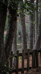 Rebelos river beach in Murça, Tras-os-Montes, Portugal, by a Tua tributary. Riverside woodland, rustic fence, and natural setting offer a tranquil landscape for recreation and relaxation.