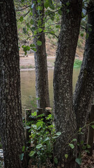 Rebelos river beach in Murça, Tras-os-Montes, Portugal, by a Tua tributary. Riverside woodland, rustic fence, and natural setting offer a tranquil landscape for recreation and relaxation.