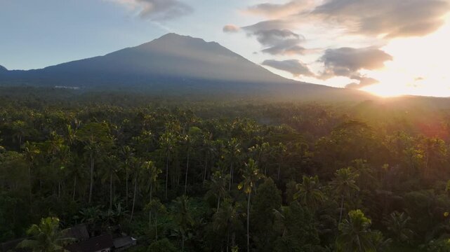 Stunning aerial drone view video shot of a lush mount Agung, Bali, landscape with a sprawling palm jungle and a magnificent volcanic peak. Beautiful golden hour light.	