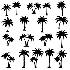 Fototapeta premium Palm Silhouette Symphony