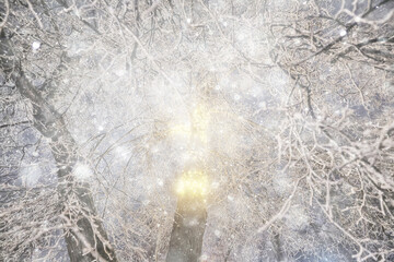 winter background, garland on a tree at night in a snowfall, abstract backdrop