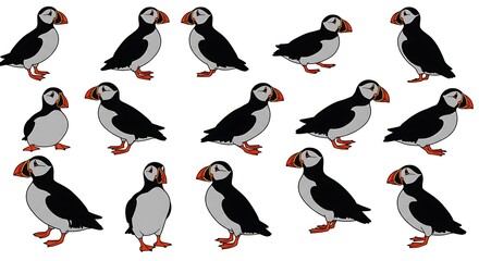 Obraz premium Puffin Promenade