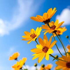 Bright yellow flowers against a vibrant blue sky