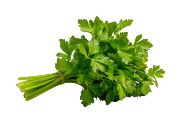 A fresh, vibrant bunch of green parsley, an essential culinary herb, neatly tied and ready for cooking or garnishing dishes. background removed