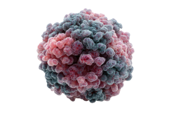 Detailed 3D rendering of a microscopic pathogen or cellular aggregate, exhibiting a textured surface with intricate pink and blue elements. background removed