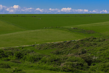 East Sussex countryside farmland intersection with hedge, fence, open grassland under blue sky, rural walking, agriculture and natural boundary in the English landscape