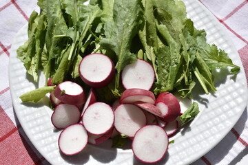 Radish slices and watercress leaves on a white plate on red checkered kıtchen towel, top view