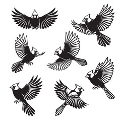 Naklejka premium Dynamic set of stylized cardinal bird silhouettes in various flight poses, ideal for nature and sports logos.
