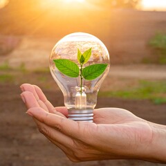 A hand holds a lightbulb with a small plant inside, bathed in golden sunlight