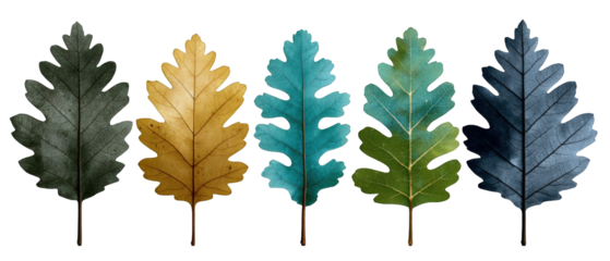 A vibrant collection of watercolor leaves in various colors arranged artistically, ideal for nature-themed designs