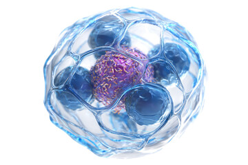 3D medical illustration: central purple diseased cell, likely cancerous or infected, surrounded by attacking blue immune cells. Biological process. background removed