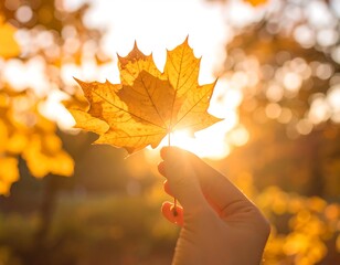 A hand holds a vibrant autumn leaf in the sunlight