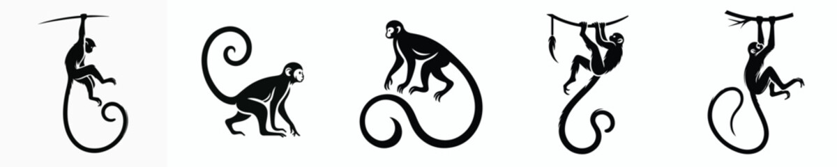 black and white silhouette vector of a long-tailed monkey © Vector