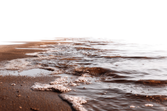 Water with white foam gently washes onto a brown sandy shore, captured from a low angle, creating a tranquil transparent scene. background removed