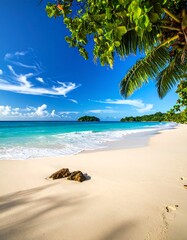 Tropical beach paradise (9)